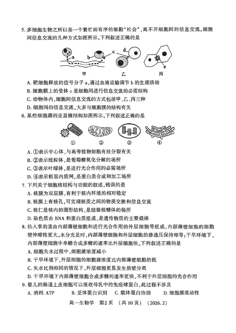 生物试卷_2026年02月高一试卷_260213河南省洛阳市2025-2026学年高一上学期2月期末考试（全）_河南省洛阳市2025-2026学年高一上学期2月期末考试生物试题含答案