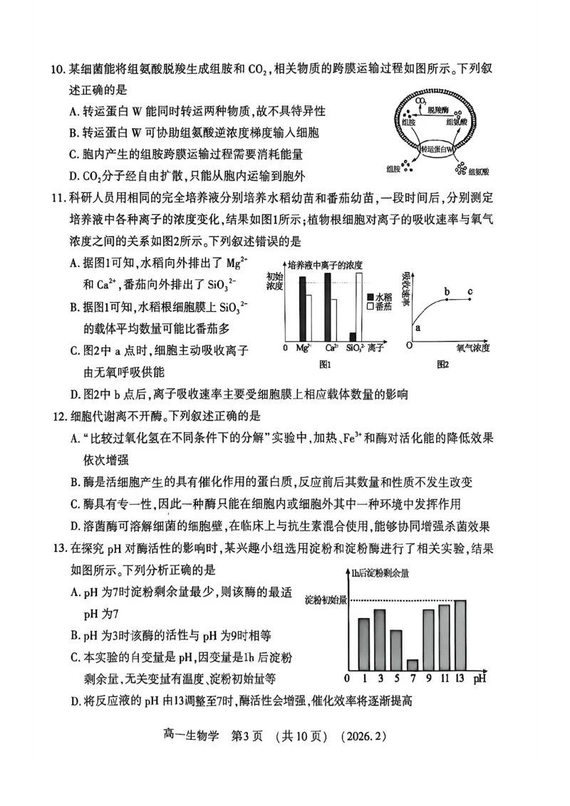 生物试卷_2026年02月高一试卷_260213河南省洛阳市2025-2026学年高一上学期2月期末考试（全）_河南省洛阳市2025-2026学年高一上学期2月期末考试生物试题含答案