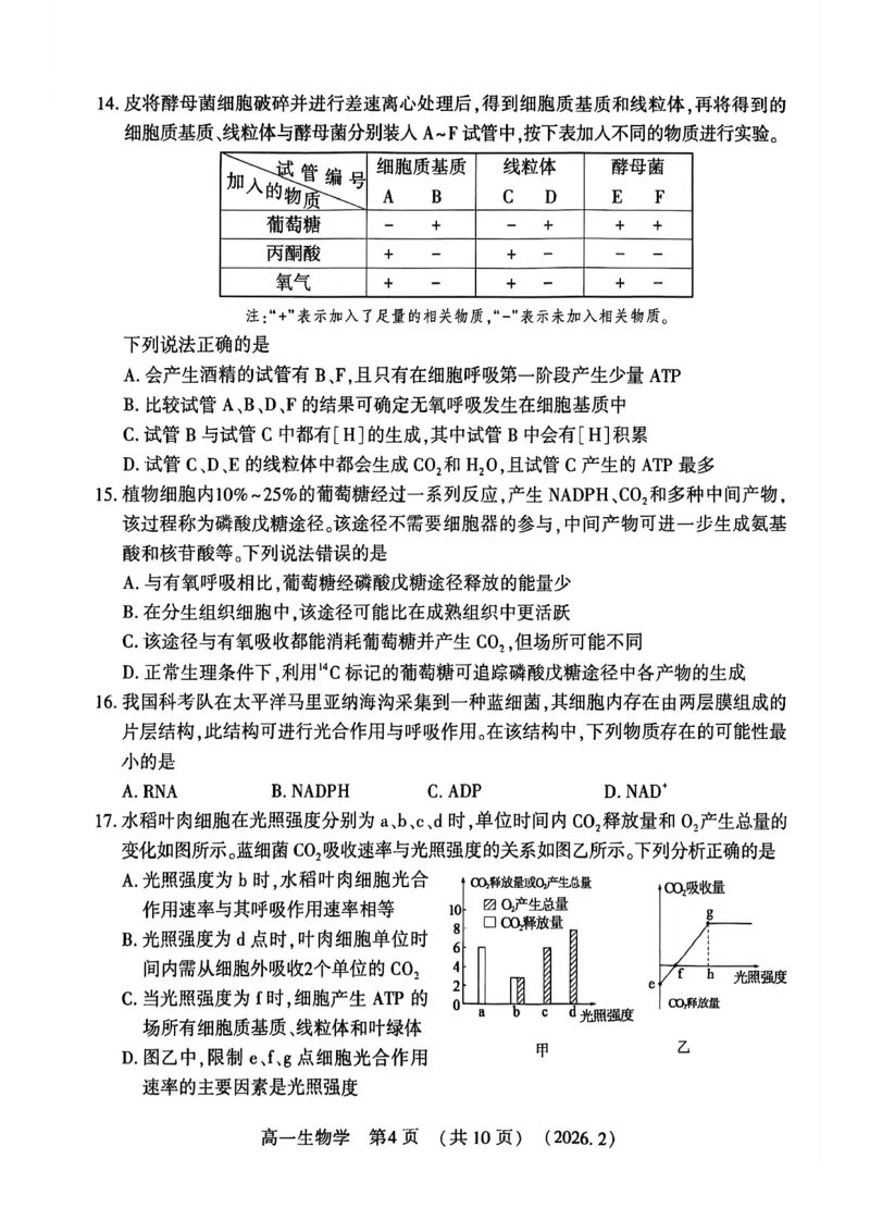 生物试卷_2026年02月高一试卷_260213河南省洛阳市2025-2026学年高一上学期2月期末考试（全）_河南省洛阳市2025-2026学年高一上学期2月期末考试生物试题含答案