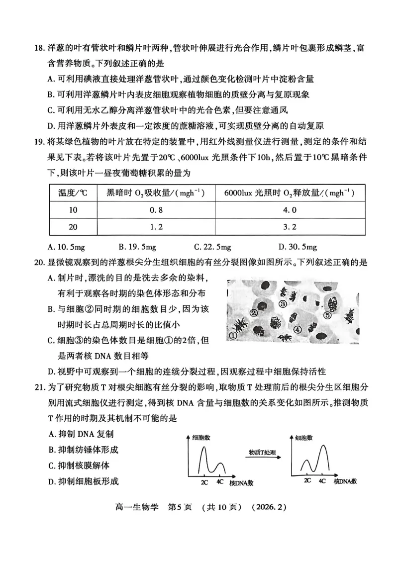 生物试卷_2026年02月高一试卷_260213河南省洛阳市2025-2026学年高一上学期2月期末考试（全）_河南省洛阳市2025-2026学年高一上学期2月期末考试生物试题含答案