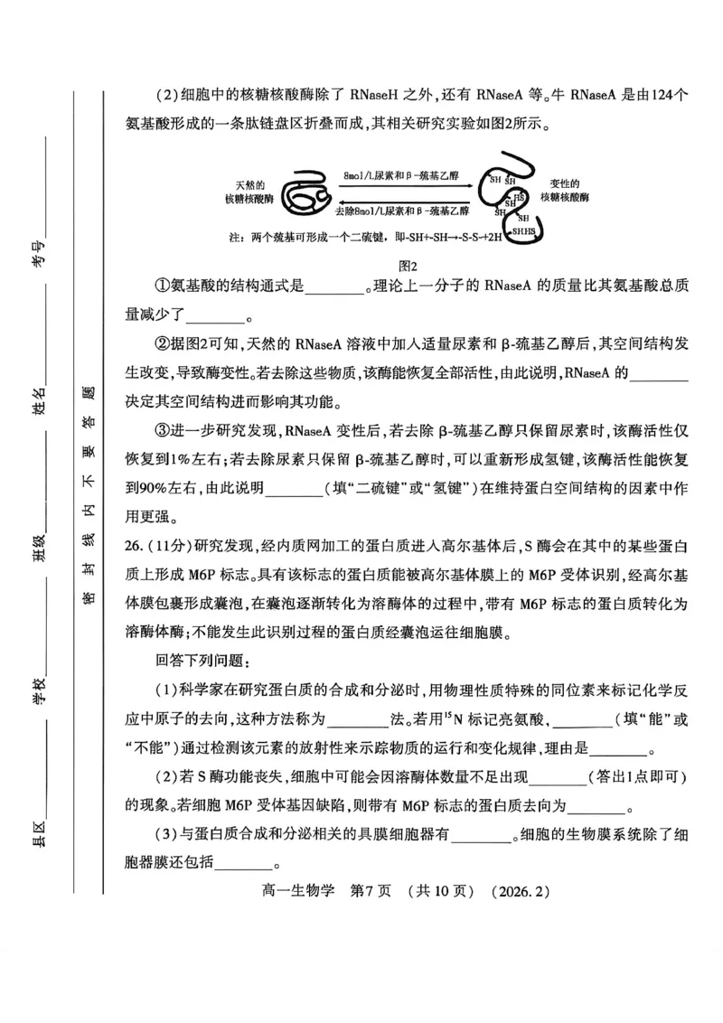 生物试卷_2026年02月高一试卷_260213河南省洛阳市2025-2026学年高一上学期2月期末考试（全）_河南省洛阳市2025-2026学年高一上学期2月期末考试生物试题含答案