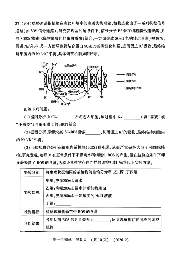 生物试卷_2026年02月高一试卷_260213河南省洛阳市2025-2026学年高一上学期2月期末考试（全）_河南省洛阳市2025-2026学年高一上学期2月期末考试生物试题含答案