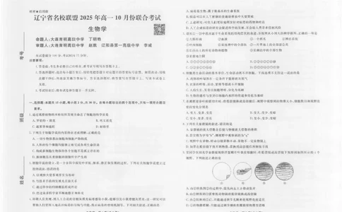 生物2025年辽宁高一10月联考正文_2025年10月高一试卷_251013辽宁省名校联盟2025年高一10月份联合考试（全)_辽宁省名校联盟2025-2026学年高一上学期10月联合考试生物试卷（含答案）