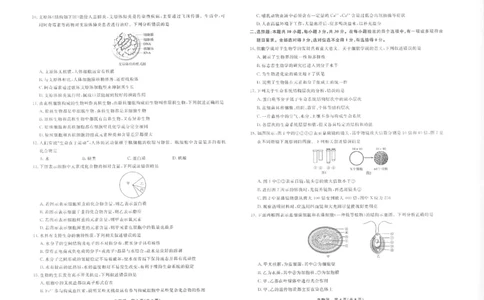 生物2025年辽宁高一10月联考正文_2025年10月高一试卷_251013辽宁省名校联盟2025年高一10月份联合考试（全)_辽宁省名校联盟2025-2026学年高一上学期10月联合考试生物试卷（含答案）