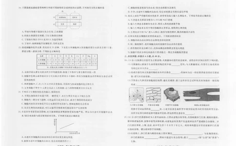 生物2025年辽宁高一10月联考正文_2025年10月高一试卷_251013辽宁省名校联盟2025年高一10月份联合考试（全)_辽宁省名校联盟2025-2026学年高一上学期10月联合考试生物试卷（含答案）