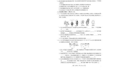 生物试卷_2025年10月高一试卷_251031金太阳&middot;河南省2025-2026年度上学期高一年级第一次联考（25-28A）（全）