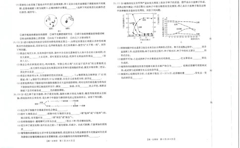 生物试卷_2025年10月高一试卷_251031金太阳&middot;河南省2025-2026年度上学期高一年级第一次联考（25-28A）（全）