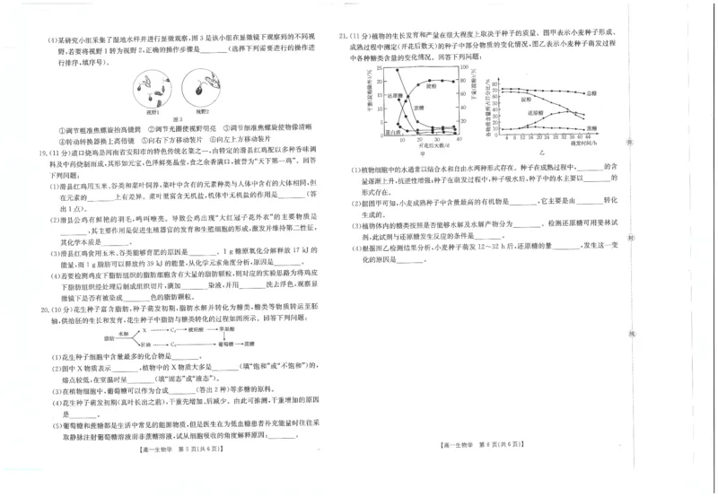 生物试卷_2025年10月高一试卷_251031金太阳&middot;河南省2025-2026年度上学期高一年级第一次联考（25-28A）（全）