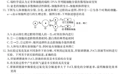 甘肃省酒泉市2024-2025学年高一上学期期末考试生物试题_2025年02月试卷_0205甘肃省酒泉市2024-2025学年高一上学期1月期末考试