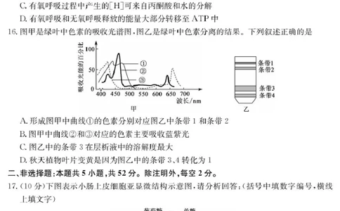 甘肃省酒泉市2024-2025学年高一上学期期末考试生物试题_2025年02月试卷_0205甘肃省酒泉市2024-2025学年高一上学期1月期末考试