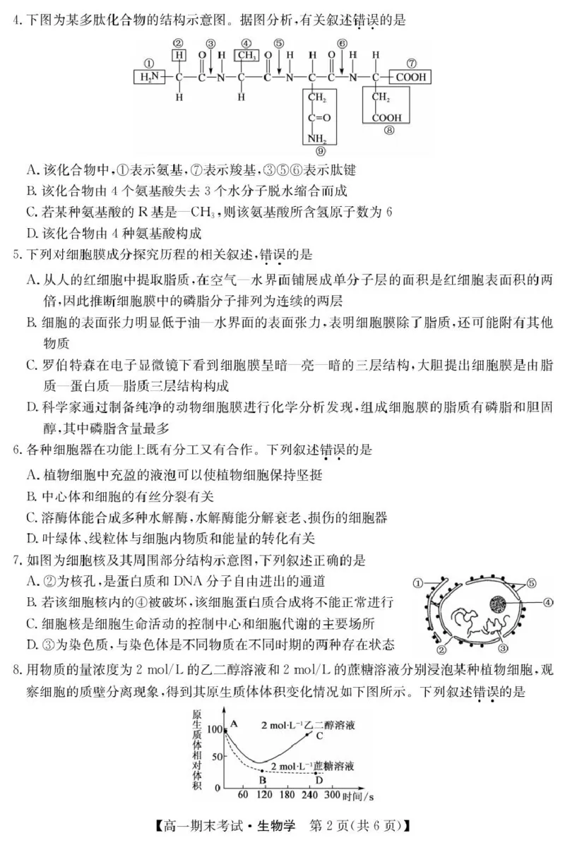 甘肃省酒泉市2024-2025学年高一上学期期末考试生物试题_2025年02月试卷_0205甘肃省酒泉市2024-2025学年高一上学期1月期末考试