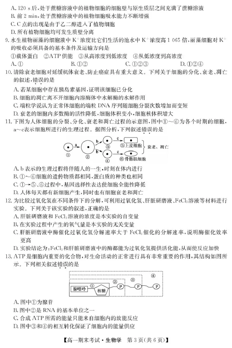 甘肃省酒泉市2024-2025学年高一上学期期末考试生物试题_2025年02月试卷_0205甘肃省酒泉市2024-2025学年高一上学期1月期末考试