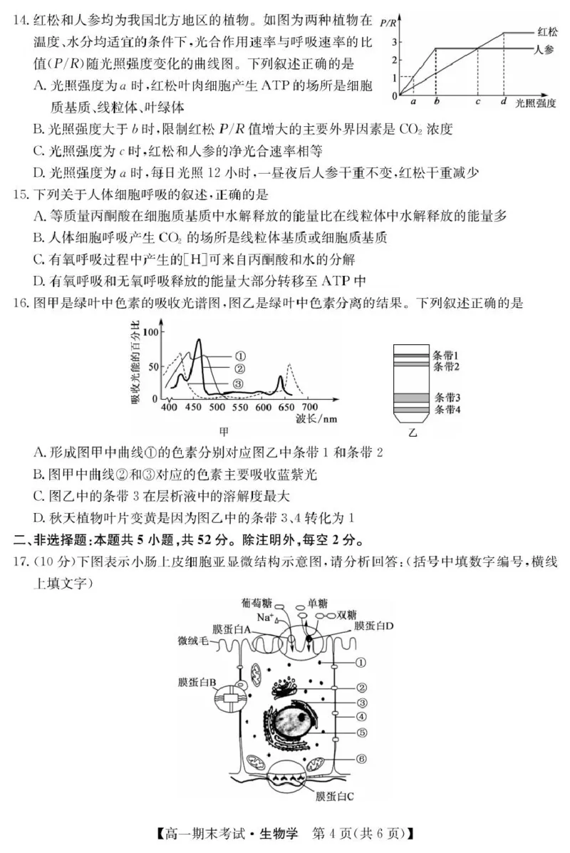 甘肃省酒泉市2024-2025学年高一上学期期末考试生物试题_2025年02月试卷_0205甘肃省酒泉市2024-2025学年高一上学期1月期末考试
