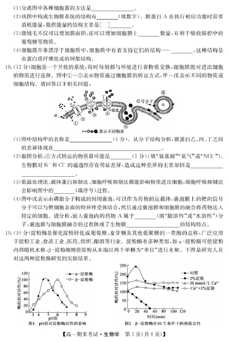 甘肃省酒泉市2024-2025学年高一上学期期末考试生物试题_2025年02月试卷_0205甘肃省酒泉市2024-2025学年高一上学期1月期末考试
