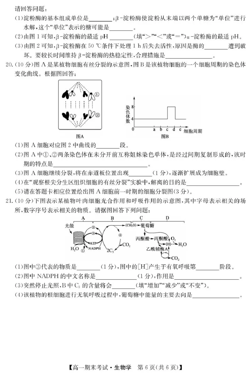 甘肃省酒泉市2024-2025学年高一上学期期末考试生物试题_2025年02月试卷_0205甘肃省酒泉市2024-2025学年高一上学期1月期末考试
