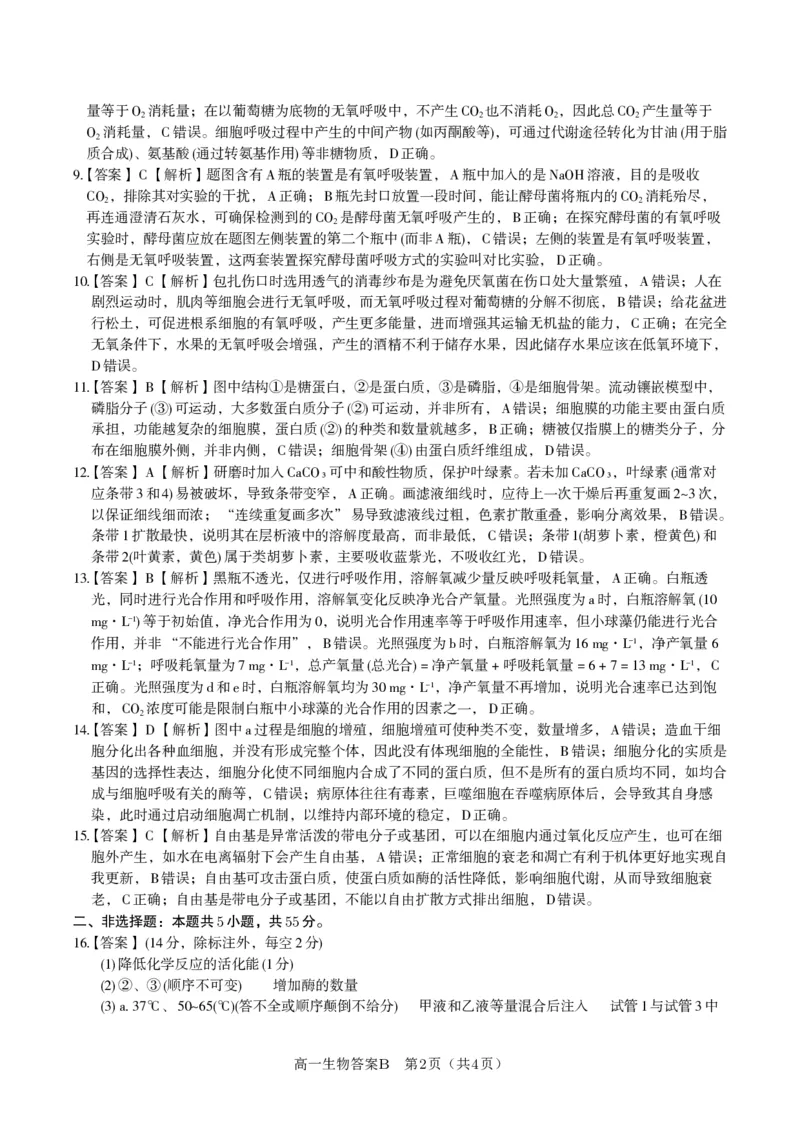 生物答案B&middot;2026年2月高一期末_2026年02月高一试卷_260208安徽省皖江名校联盟2025-2026学年上学期高一期末考试（全）_答案PDF