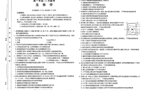 生物试题_2024年12月试卷_1219金太阳河北省百万联考2024-2025学年高一上学期12月联考_河北省百万联考2024-2025学年高一上学期12月联考生物试题