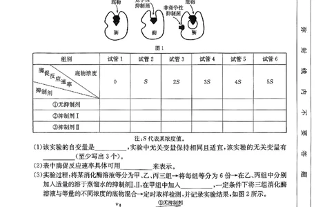 生物试题_2024年12月试卷_1219金太阳河北省百万联考2024-2025学年高一上学期12月联考_河北省百万联考2024-2025学年高一上学期12月联考生物试题