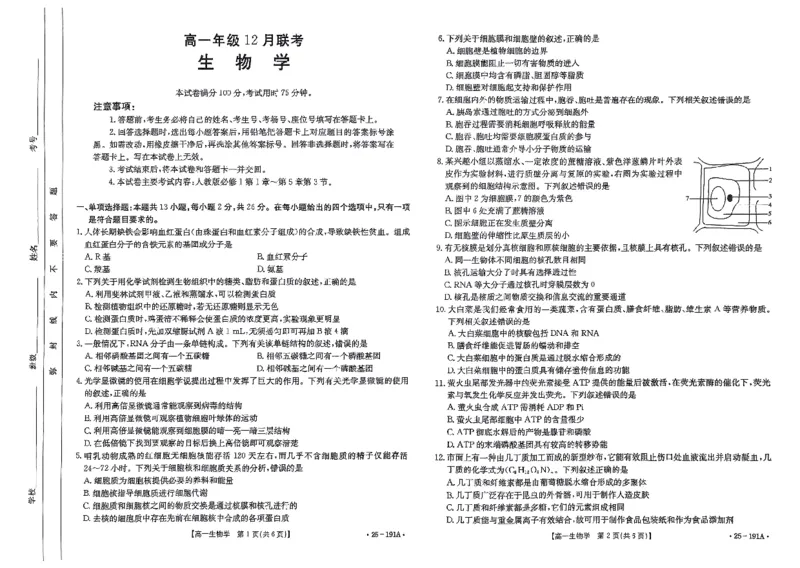 生物试题_2024年12月试卷_1219金太阳河北省百万联考2024-2025学年高一上学期12月联考_河北省百万联考2024-2025学年高一上学期12月联考生物试题