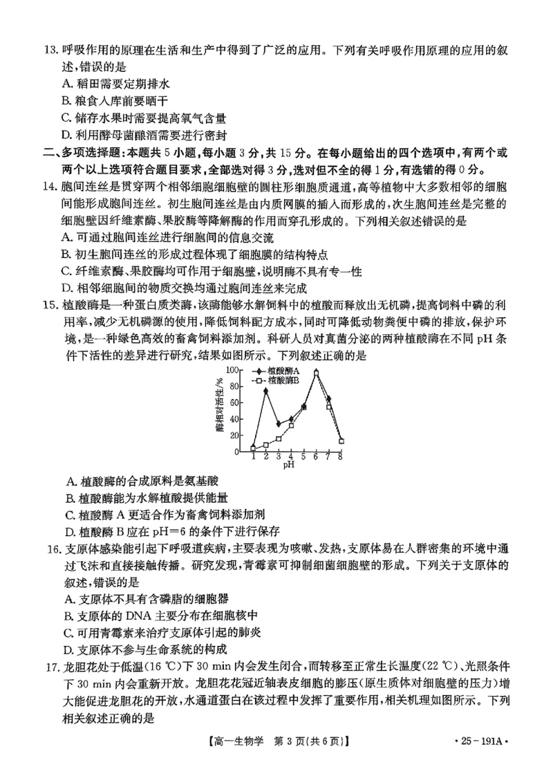 生物试题_2024年12月试卷_1219金太阳河北省百万联考2024-2025学年高一上学期12月联考_河北省百万联考2024-2025学年高一上学期12月联考生物试题