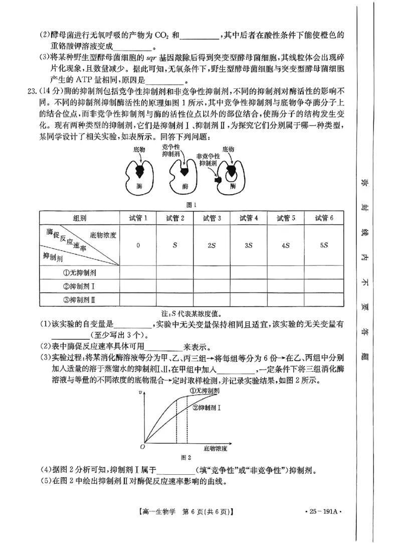 生物试题_2024年12月试卷_1219金太阳河北省百万联考2024-2025学年高一上学期12月联考_河北省百万联考2024-2025学年高一上学期12月联考生物试题