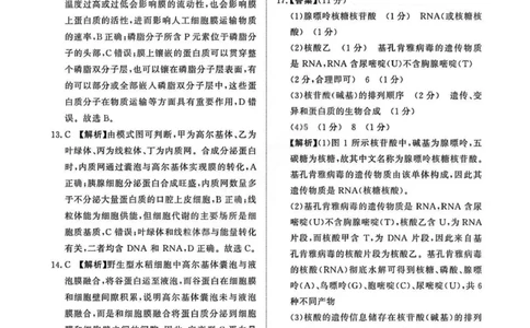 生物答案_2025年11月高一试卷_251127河南青铜鸣大联考2025-2026学年上学期高一期中考试（全）_河南青铜鸣大联考2025-2026学年上学期高一期中考试生物试题含答案