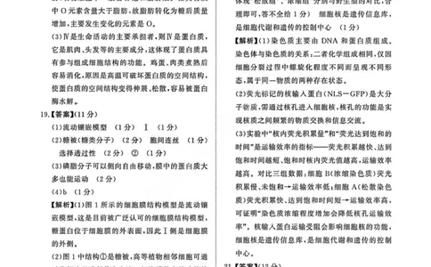 生物答案_2025年11月高一试卷_251127河南青铜鸣大联考2025-2026学年上学期高一期中考试（全）_河南青铜鸣大联考2025-2026学年上学期高一期中考试生物试题含答案