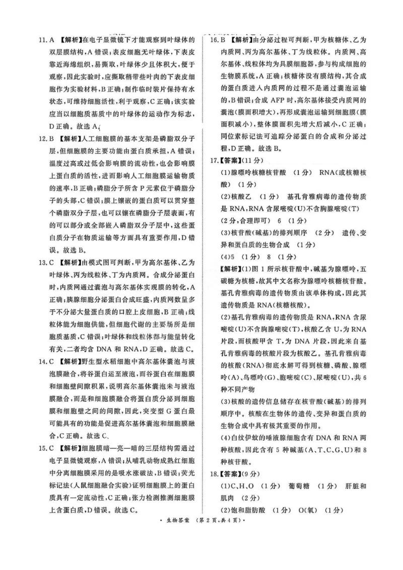 生物答案_2025年11月高一试卷_251127河南青铜鸣大联考2025-2026学年上学期高一期中考试（全）_河南青铜鸣大联考2025-2026学年上学期高一期中考试生物试题含答案