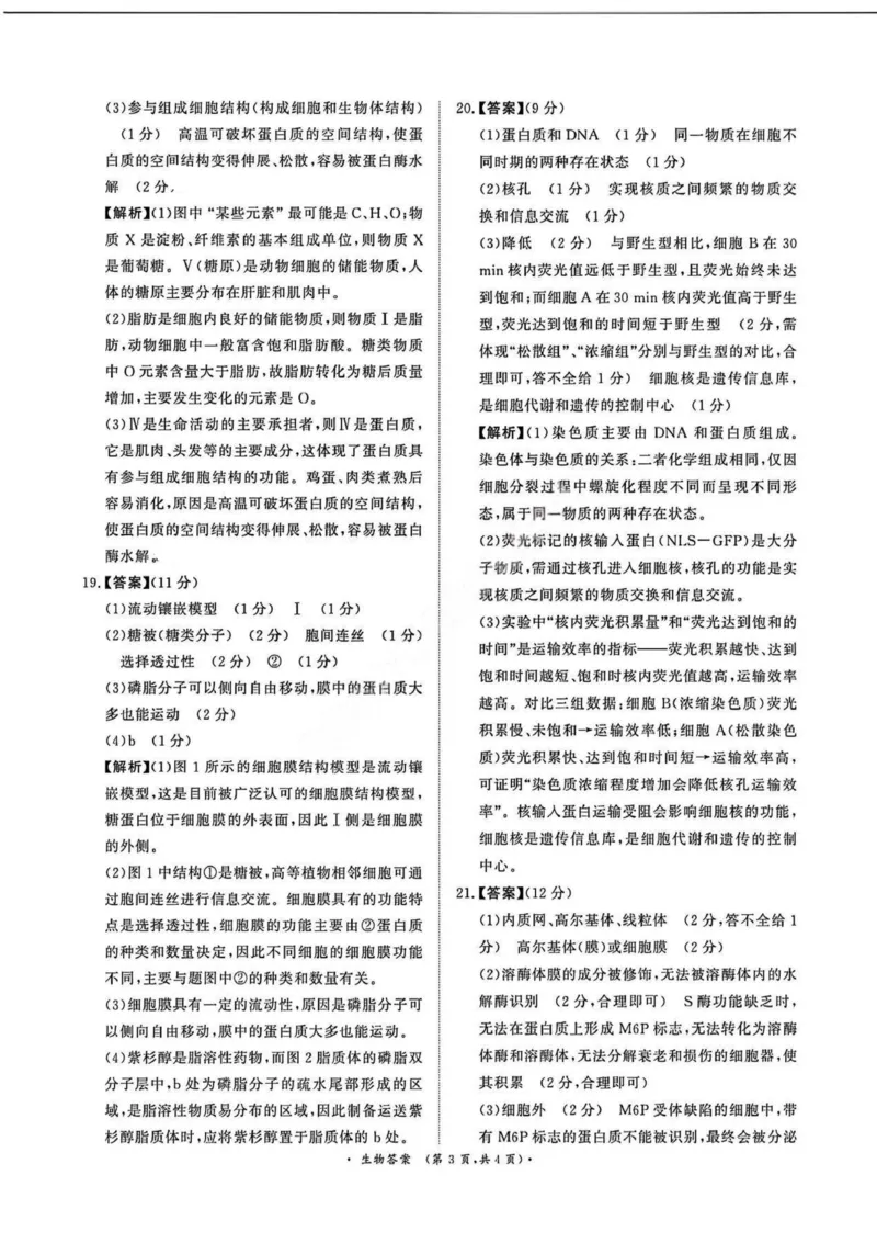 生物答案_2025年11月高一试卷_251127河南青铜鸣大联考2025-2026学年上学期高一期中考试（全）_河南青铜鸣大联考2025-2026学年上学期高一期中考试生物试题含答案