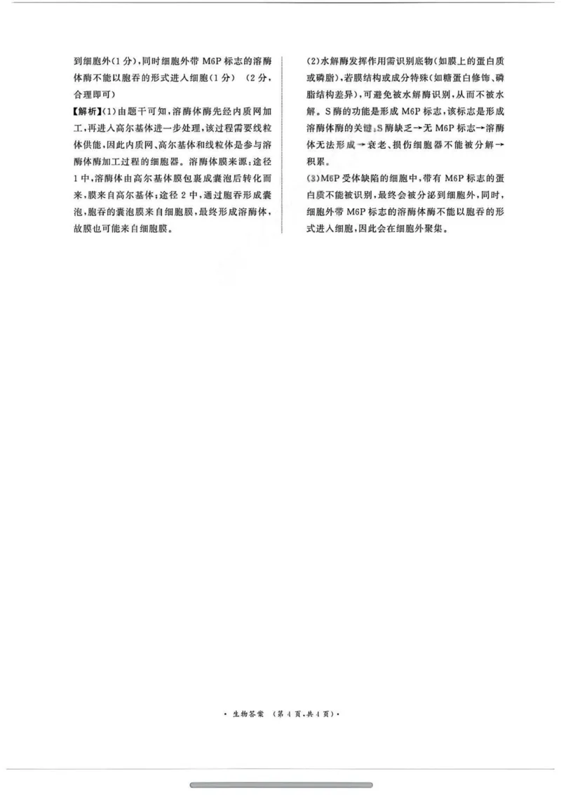 生物答案_2025年11月高一试卷_251127河南青铜鸣大联考2025-2026学年上学期高一期中考试（全）_河南青铜鸣大联考2025-2026学年上学期高一期中考试生物试题含答案