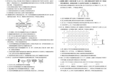 生物学湖南高一上期中_2025年11月高一试卷_251125天一大联考&middot;湖南湘一名校2025-2026学年高一上学期期中考试（全科）