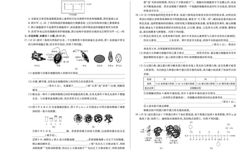 生物学湖南高一上期中_2025年11月高一试卷_251125天一大联考&middot;湖南湘一名校2025-2026学年高一上学期期中考试（全科）