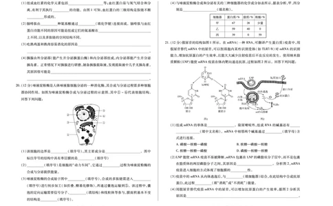 生物学湖南高一上期中_2025年11月高一试卷_251125天一大联考&middot;湖南湘一名校2025-2026学年高一上学期期中考试（全科）
