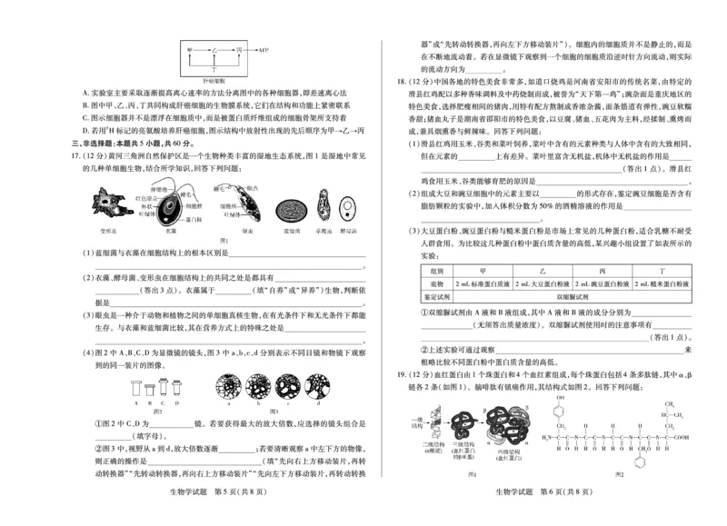 生物学湖南高一上期中_2025年11月高一试卷_251125天一大联考&middot;湖南湘一名校2025-2026学年高一上学期期中考试（全科）