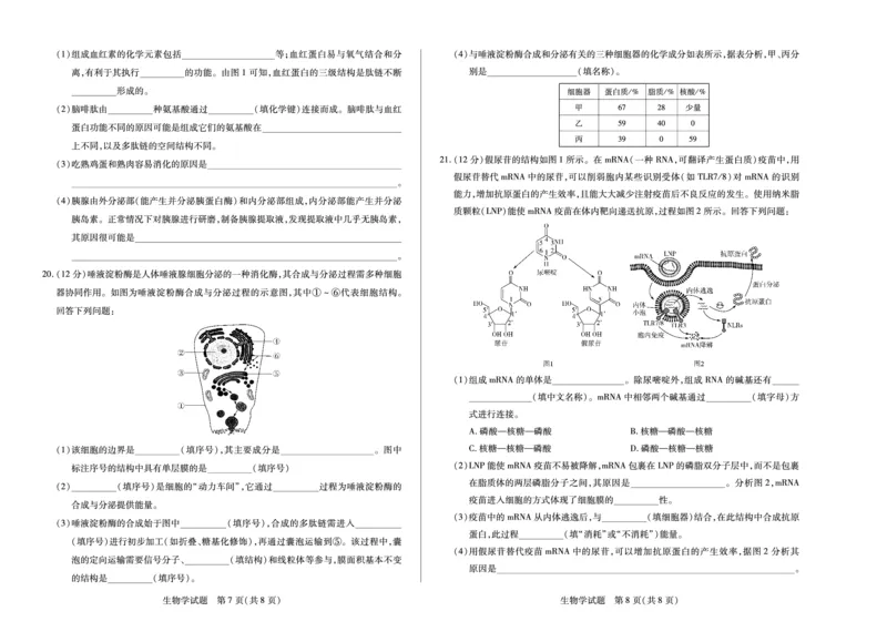 生物学湖南高一上期中_2025年11月高一试卷_251125天一大联考&middot;湖南湘一名校2025-2026学年高一上学期期中考试（全科）