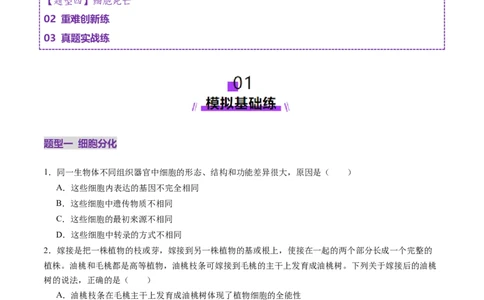 第14讲细胞的分化、衰老、死亡和癌变（练习）（原卷版）_2025年新高考资料_一轮复习_2025年高考生物一轮复习讲练测（新教材新高考）