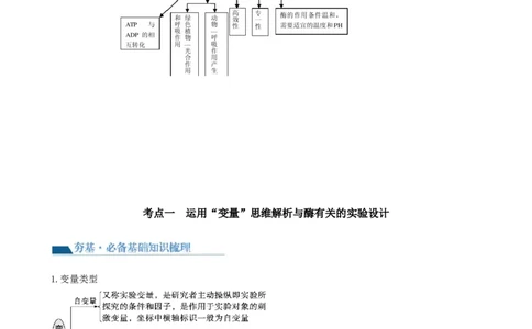 第11讲细胞代谢综合分析（讲义）（学生版）_新高考复习资料_2024年新高考复习资料_一轮复习资料_完2024年高考生物一轮复习讲练测(课件+讲义+练习)（新高考）_讲义+练习