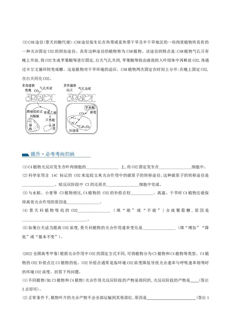 第11讲细胞代谢综合分析（讲义）（学生版）_新高考复习资料_2024年新高考复习资料_一轮复习资料_完2024年高考生物一轮复习讲练测(课件+讲义+练习)（新高考）_讲义+练习