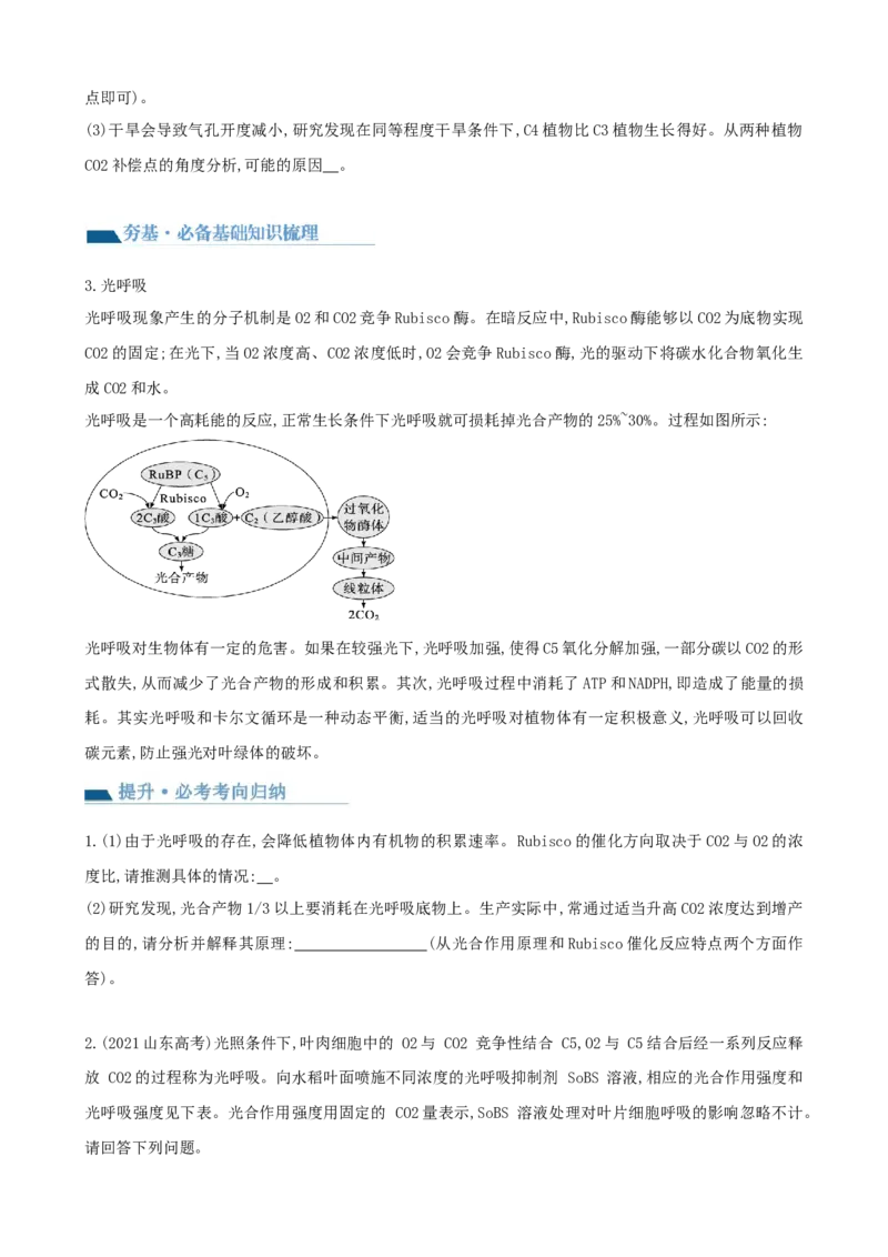 第11讲细胞代谢综合分析（讲义）（学生版）_新高考复习资料_2024年新高考复习资料_一轮复习资料_完2024年高考生物一轮复习讲练测(课件+讲义+练习)（新高考）_讲义+练习