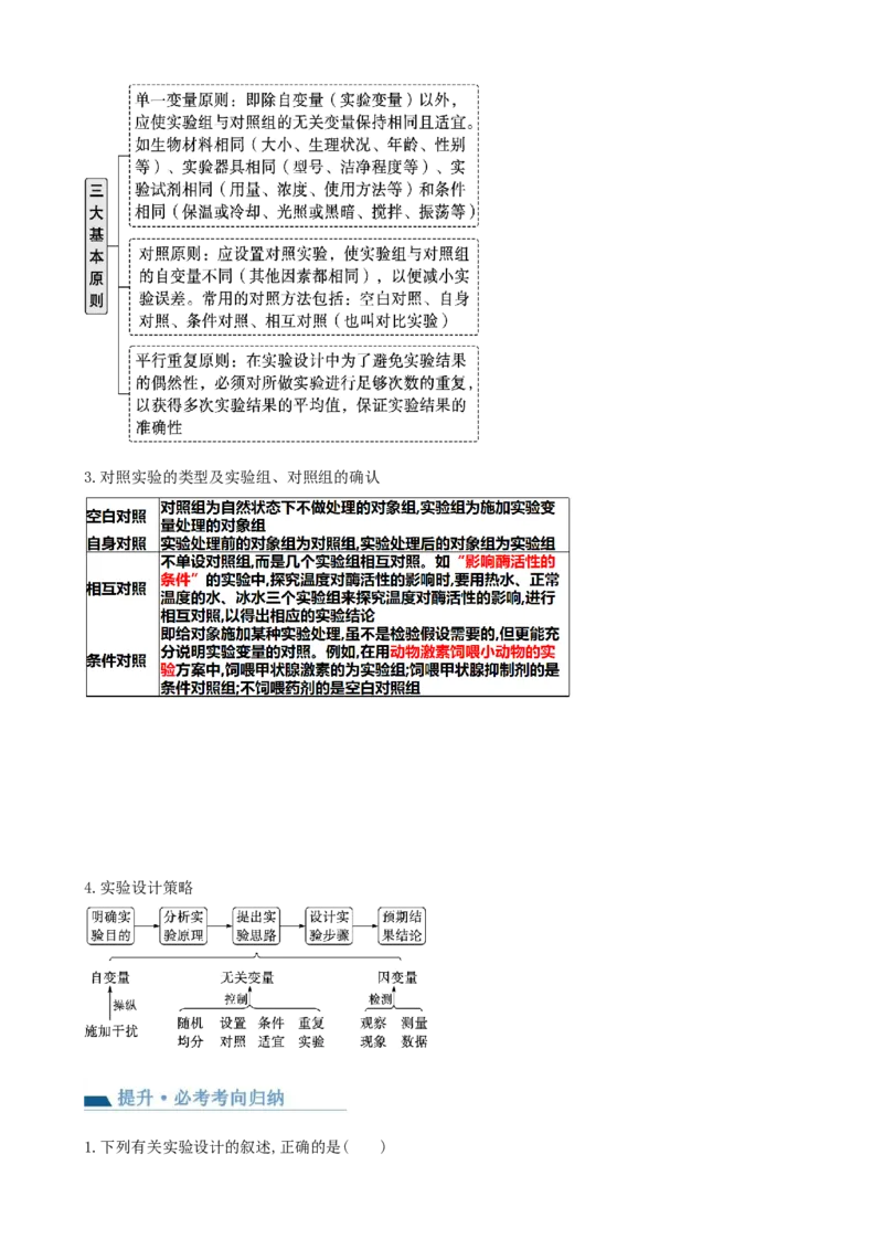 第11讲细胞代谢综合分析（讲义）（学生版）_新高考复习资料_2024年新高考复习资料_一轮复习资料_完2024年高考生物一轮复习讲练测(课件+讲义+练习)（新高考）_讲义+练习