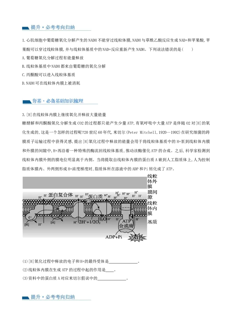 第11讲细胞代谢综合分析（讲义）（学生版）_新高考复习资料_2024年新高考复习资料_一轮复习资料_完2024年高考生物一轮复习讲练测(课件+讲义+练习)（新高考）_讲义+练习
