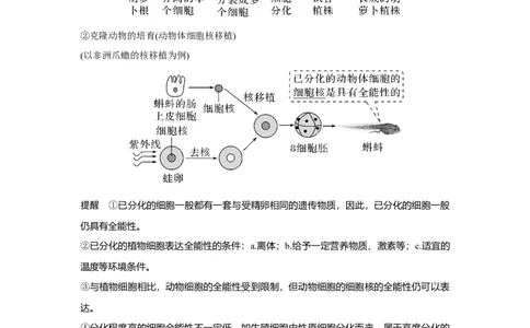 第12讲　细胞的分化、衰老和死亡_新高考复习资料_2023年新高考复习资料_一轮复习_2023年新高考大一轮复习讲义_2023年高考生物一轮复习讲义（新人教新高考）_赠补充习题