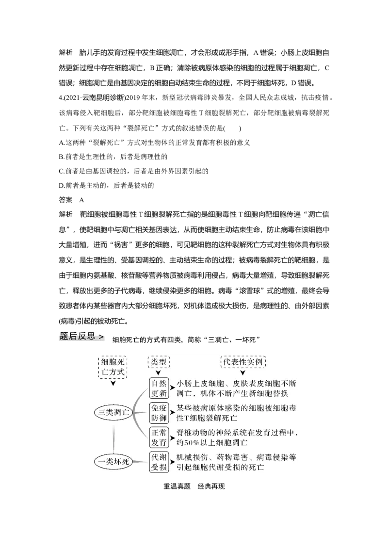第12讲　细胞的分化、衰老和死亡_新高考复习资料_2023年新高考复习资料_一轮复习_2023年新高考大一轮复习讲义_2023年高考生物一轮复习讲义（新人教新高考）_赠补充习题