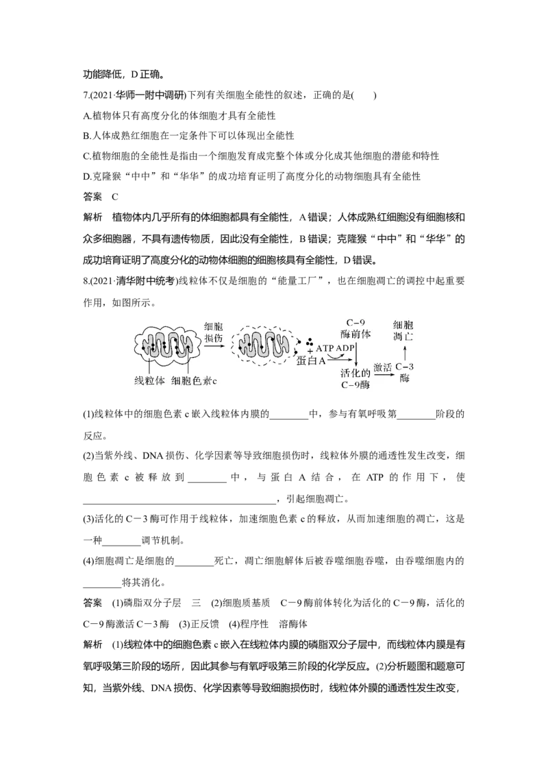 第12讲　细胞的分化、衰老和死亡_新高考复习资料_2023年新高考复习资料_一轮复习_2023年新高考大一轮复习讲义_2023年高考生物一轮复习讲义（新人教新高考）_赠补充习题