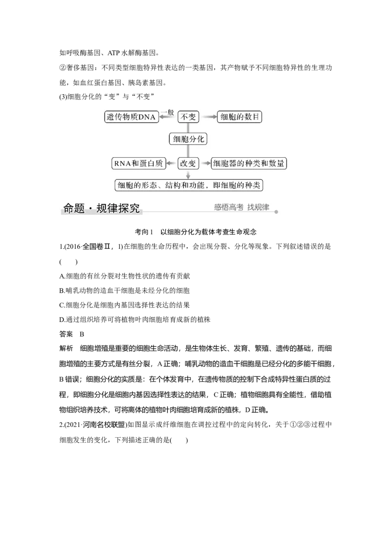 第12讲　细胞的分化、衰老和死亡_新高考复习资料_2023年新高考复习资料_一轮复习_2023年新高考大一轮复习讲义_2023年高考生物一轮复习讲义（新人教新高考）_赠补充习题