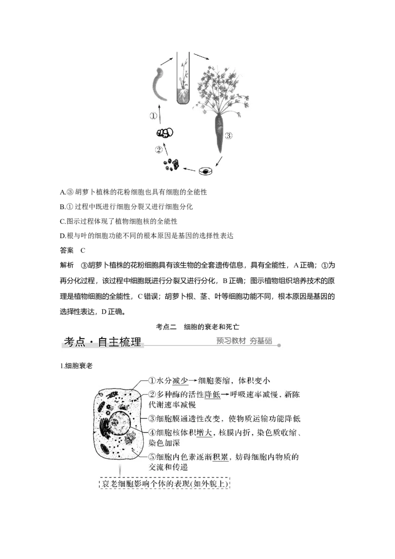 第12讲　细胞的分化、衰老和死亡_新高考复习资料_2023年新高考复习资料_一轮复习_2023年新高考大一轮复习讲义_2023年高考生物一轮复习讲义（新人教新高考）_赠补充习题