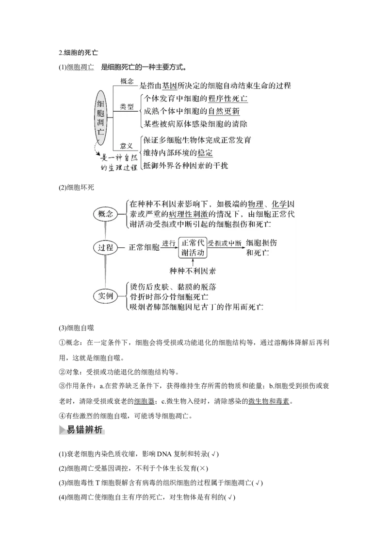 第12讲　细胞的分化、衰老和死亡_新高考复习资料_2023年新高考复习资料_一轮复习_2023年新高考大一轮复习讲义_2023年高考生物一轮复习讲义（新人教新高考）_赠补充习题