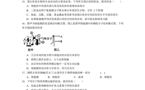 石嘴山市第一中学2025-2026学年高一上学期1月月考生物试卷_2026年02月高一试卷_260202宁夏回族自治区石嘴山市第一中学2025-2026学年高一上学期1月月考（全）