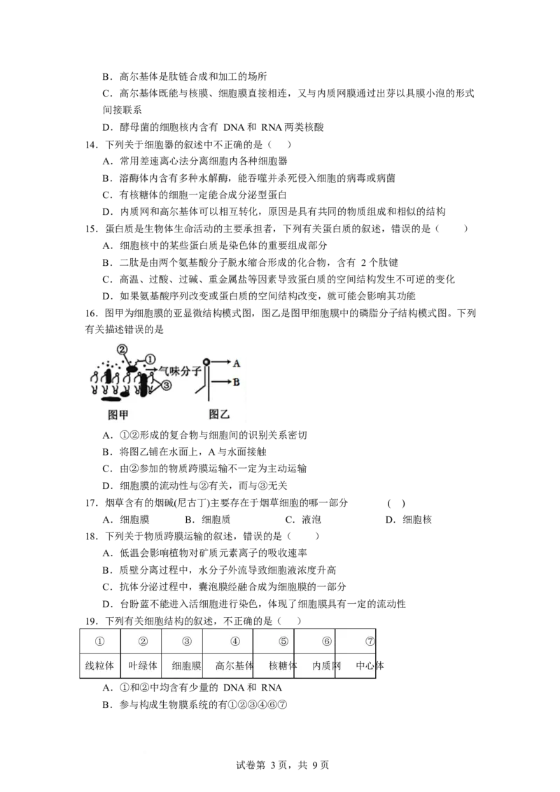 石嘴山市第一中学2025-2026学年高一上学期1月月考生物试卷_2026年02月高一试卷_260202宁夏回族自治区石嘴山市第一中学2025-2026学年高一上学期1月月考（全）