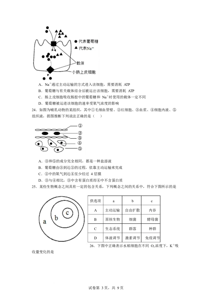 石嘴山市第一中学2025-2026学年高一上学期1月月考生物试卷_2026年02月高一试卷_260202宁夏回族自治区石嘴山市第一中学2025-2026学年高一上学期1月月考（全）